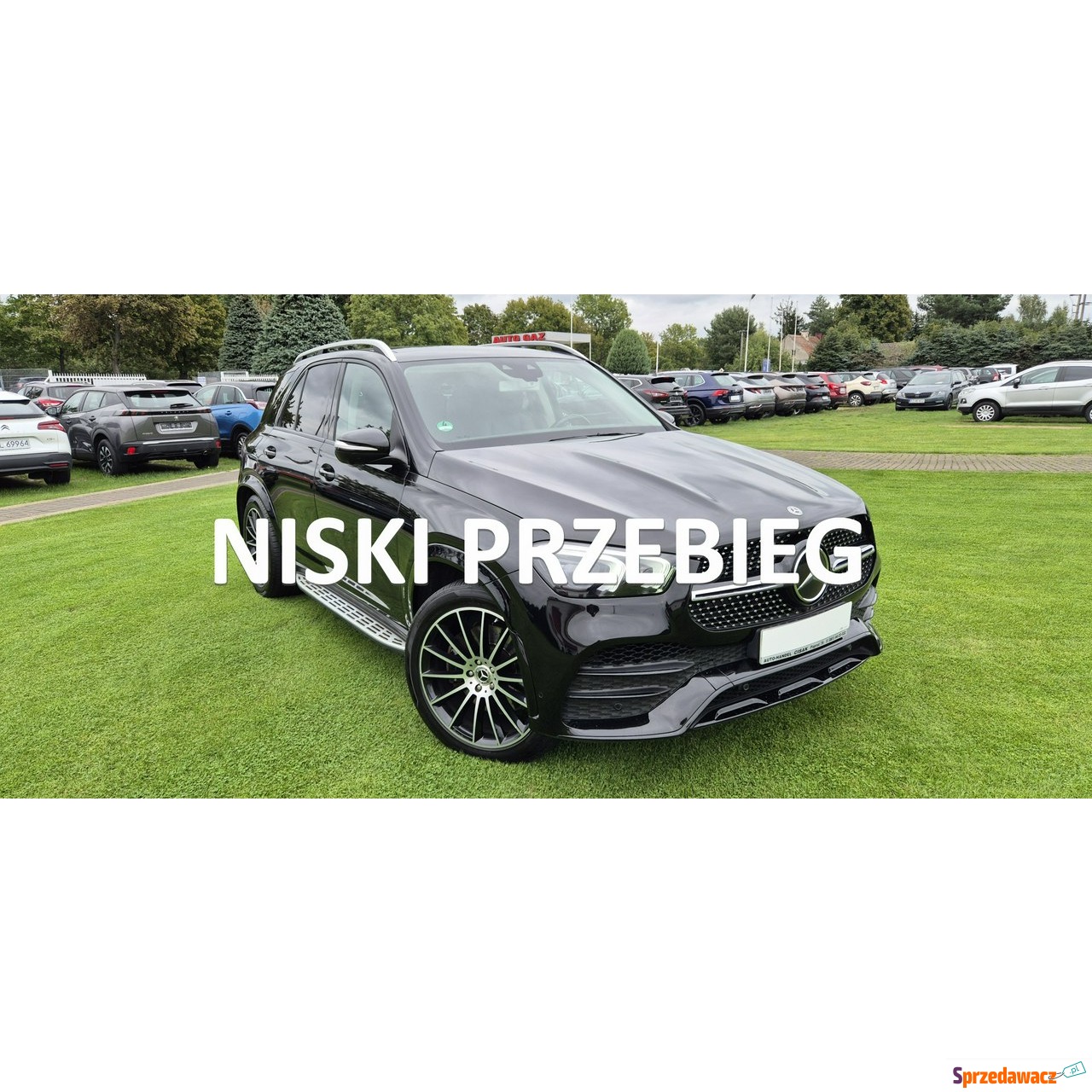 Mercedes - Benz GLE-klasa 2020
