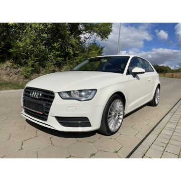 Audi A3  Hatchback 2012,  1.6 diesel - Na sprzedaż za 35 999 zł - Gostyń - zdjęcie 3