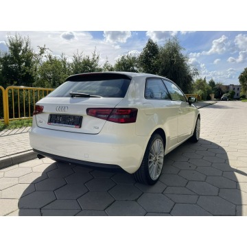 Audi A3  Hatchback 2012,  1.6 diesel - Na sprzedaż za 35 999 zł - Gostyń - zdjęcie 6
