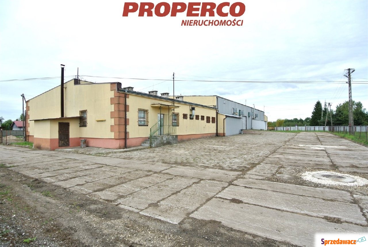 Lokal 1200m2, Łagiewniki, Busk...