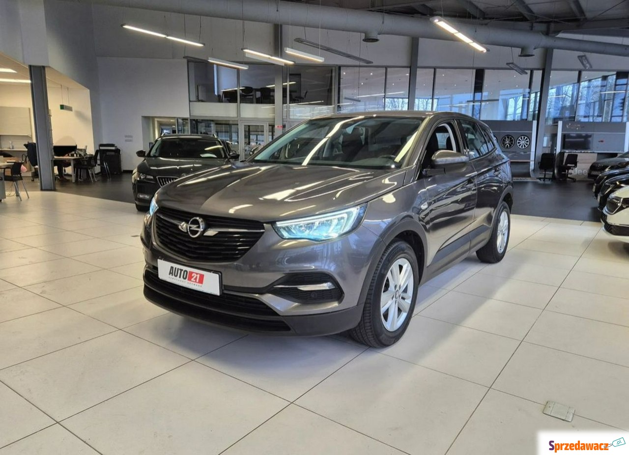Opel Grandland X 2020