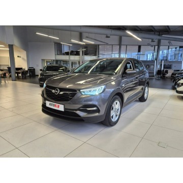 Opel Grandland X - Salon Pl 1wł bezwypadkowy FV 23% Rok Gwrancji