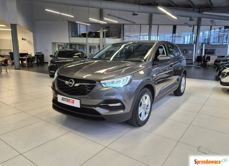 Opel Grandland X  SUV 2020,  1.2 benzyna, automat - Na sprzedaż za 59 900 zł - Kraków