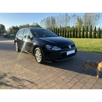 Volkswagen Golf  Hatchback 2014,  1.2 benzyna - Na sprzedaż za 27 800 zł - Lipówki - zdjęcie 2