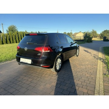 Volkswagen Golf  Hatchback 2014,  1.2 benzyna - Na sprzedaż za 27 800 zł - Lipówki - zdjęcie 9