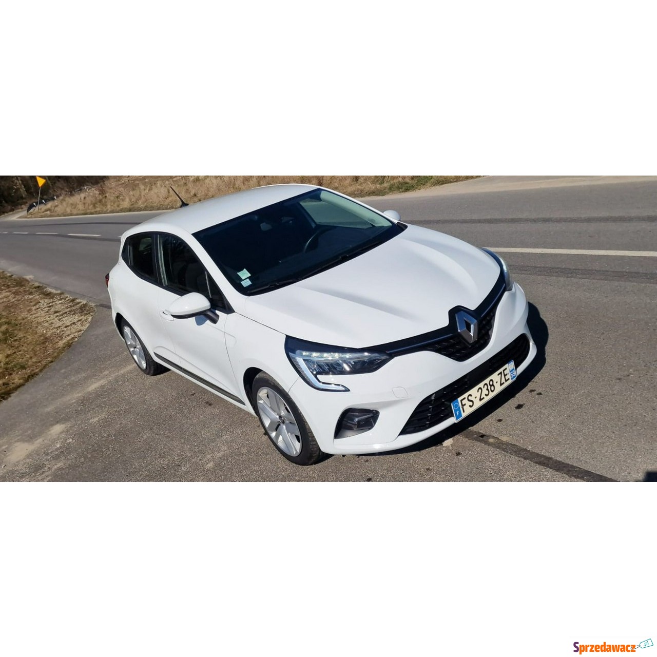 Renault Clio 2020