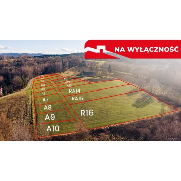 Działka budowlana Tuchów sprzedam, pow. 620 m2  (6.2a) - zdjęcie 6