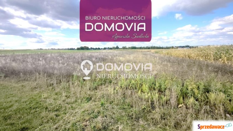 3 atrakcyjne działki budowlane – Płoskie Zamość - Działki na sprzedaż - Zamość