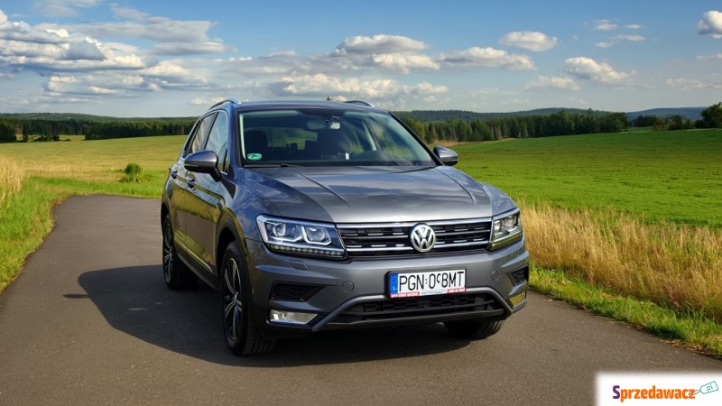 Volkswagen Taos  SUV 2016,  2.0 diesel, automat - Na sprzedaż za 73 900 zł - Gniezno