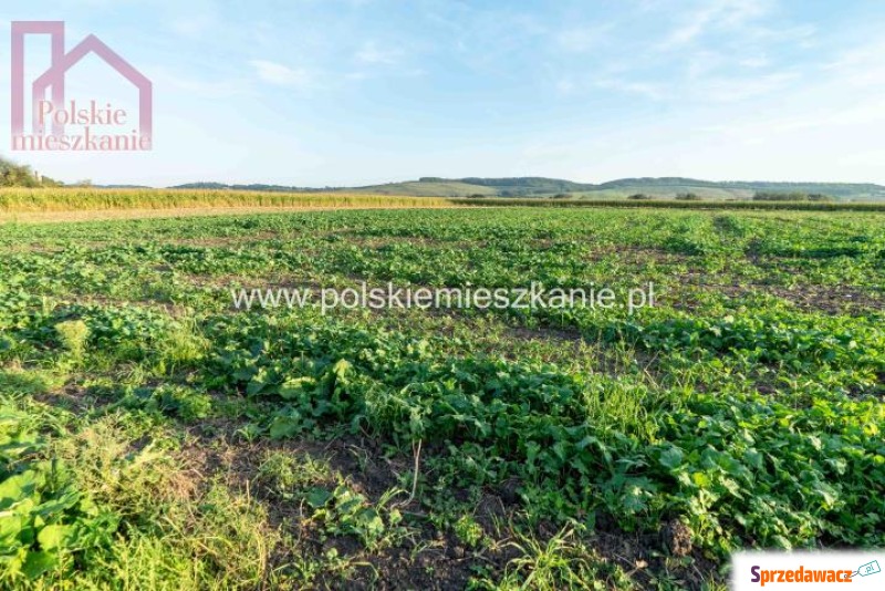 Inwestycyjna działka w Krównikach