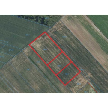 3 atrakcyjne działki budowlane – Płoskie Zamość - Działki na sprzedaż - Zamość - zdjęcie 2