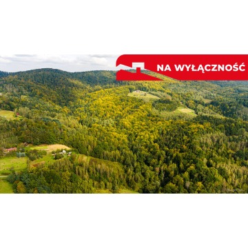 Działka rolno-leśna w Jodłówce Tuchowskiej