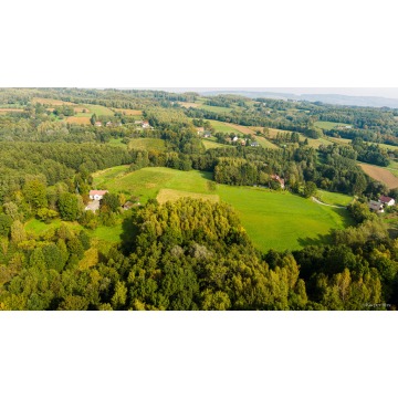 Działka Lichwin sprzedam, pow. 47 100 m2  (4.71ha) - zdjęcie 4