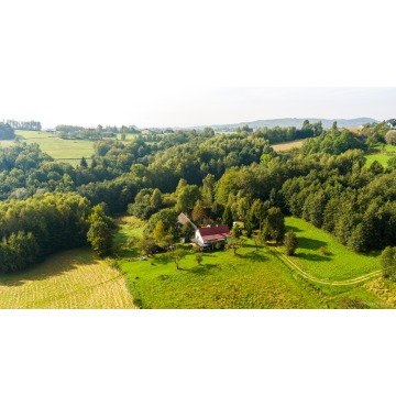 Na sprzedaż działka z domem w Lichwinie