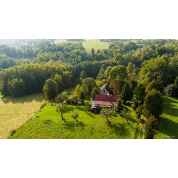 Działka Lichwin sprzedam, pow. 47 100 m2  (4.71ha) - zdjęcie 6