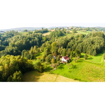 Działka Lichwin sprzedam, pow. 47 100 m2  (4.71ha) - zdjęcie 2