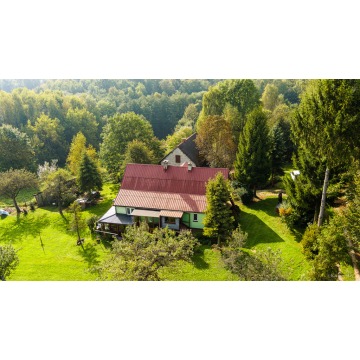 Działka Lichwin sprzedam, pow. 47 100 m2  (4.71ha) - zdjęcie 3