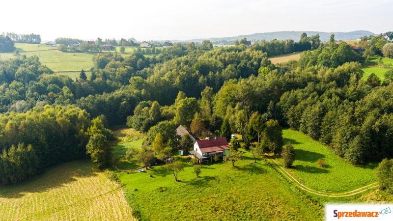 Działka Lichwin sprzedam, pow. 47 100 m2  (4.71ha)
