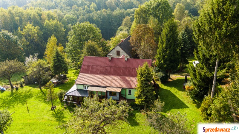 Sprzedam dom Lichwin - ,  pow.  117 m2,  działka:   47 100 m2