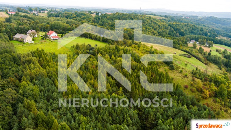 Na sprzedaż działki w Zalasowej