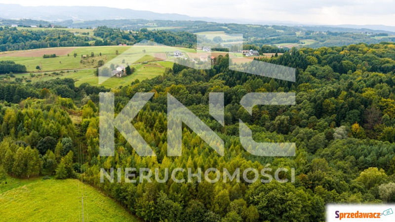 Na sprzedaż działka w Zalasowej