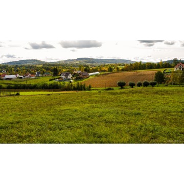 Działka Tworkowa sprzedam, pow. 3114 m2  (31.1a) - zdjęcie 5