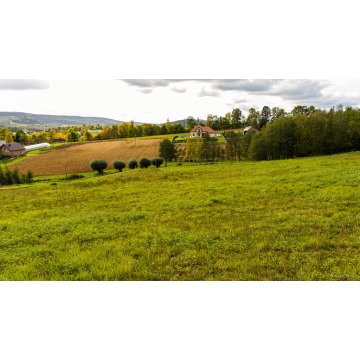Działka Tworkowa sprzedam, pow. 3114 m2  (31.1a) - zdjęcie 4