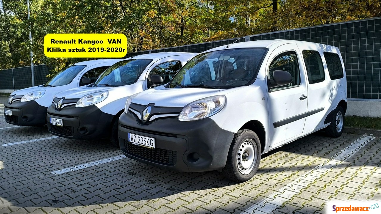 Renault Kangoo 2019
