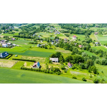 Działka Lichwin sprzedam, pow. 1200 m2  (12a) - zdjęcie 8