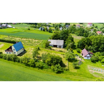 Działka Lichwin sprzedam, pow. 1200 m2  (12a) - zdjęcie 6