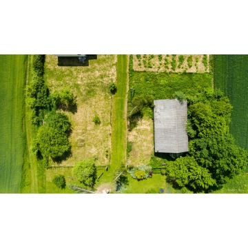 Działka Lichwin sprzedam, pow. 1200 m2  (12a) - zdjęcie 5
