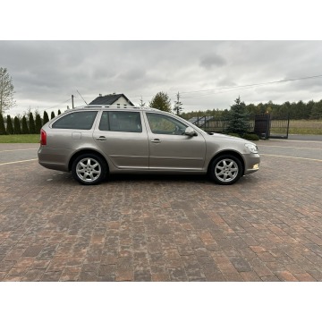 Skoda Octavia 2010,  1.8 benzyna, automat - Na sprzedaż za 17 800 zł - Lipówki - zdjęcie 11
