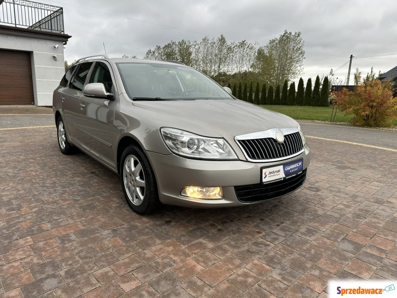 Skoda Octavia 2010,  1.8 benzyna, automat - Na sprzedaż za 17 800 zł - Lipówki