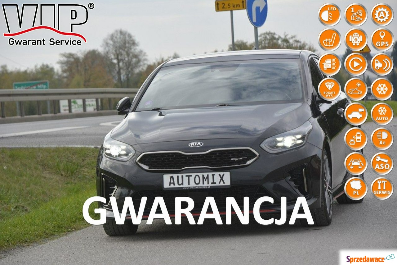 Kia 2019