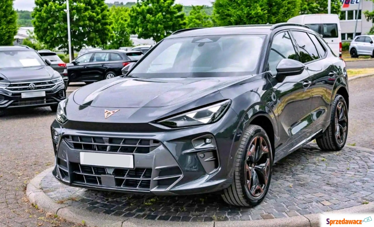 Cupra 2025