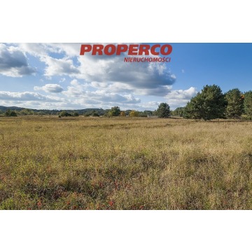 Działka Kielce sprzedam, pow. 3367 m2  (33.7a), uzbrojona - zdjęcie 2