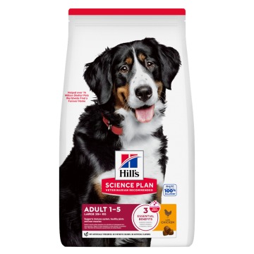 Hill's Science Plan Adult 1–5 Large, z kurczakiem - 2 x 14 kg