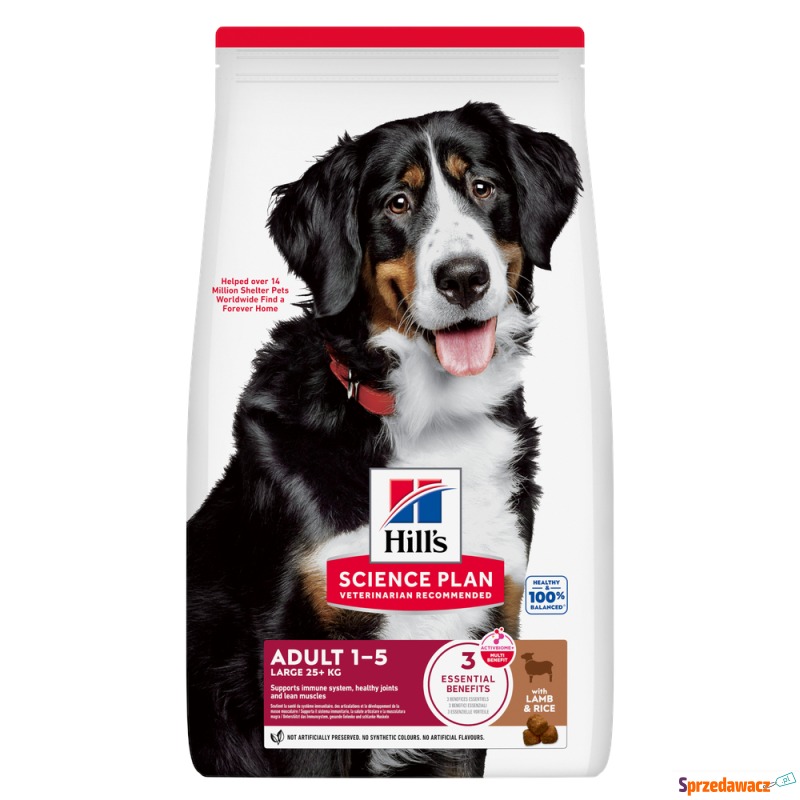 Dwupak Hill's - Adult 1–5 Large,...