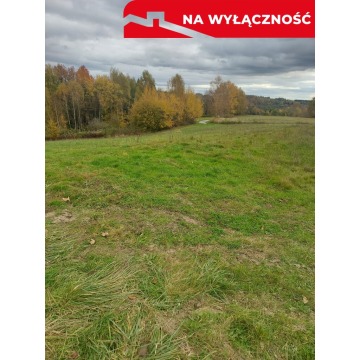 Działka budowlana Tuchów sprzedam, pow. 3600 m2  (36a) - zdjęcie 4