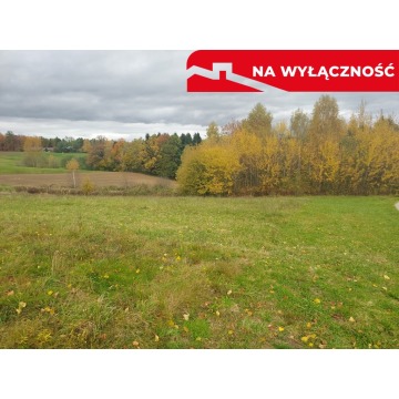 Działka budowlana Tuchów sprzedam, pow. 3600 m2  (36a) - zdjęcie 5