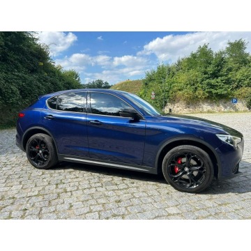 Alfa Romeo Stelvio  SUV 2019,  2.1 diesel, automat - Na sprzedaż za 79 800 zł - Nysa - zdjęcie 2