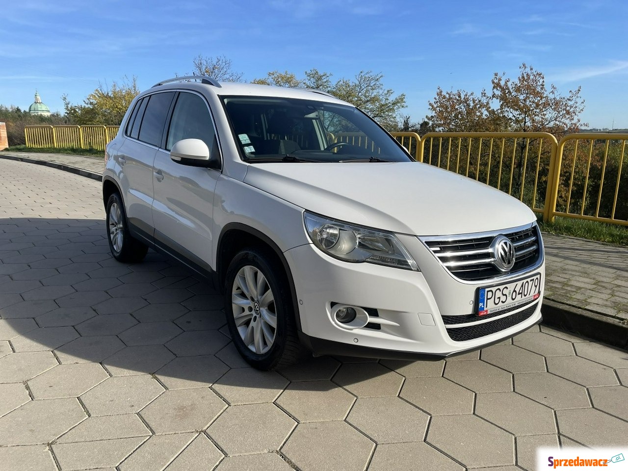 Volkswagen Tiguan 2010
