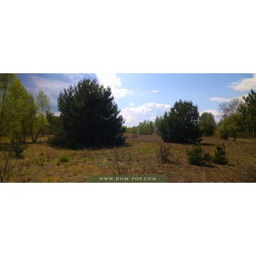 Działka budowlana Ostrybór sprzedam, pow. 3000 m2  (30a) - zdjęcie 3