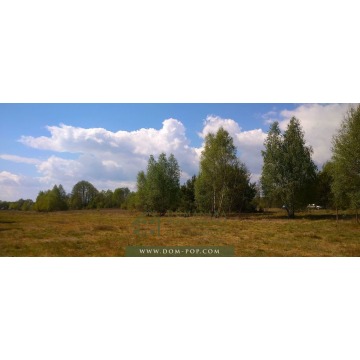 Działka budowlana Ostrybór sprzedam, pow. 3000 m2  (30a) - zdjęcie 4
