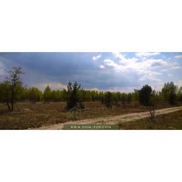 Działka budowlana Ostrybór sprzedam, pow. 3000 m2  (30a) - zdjęcie 5