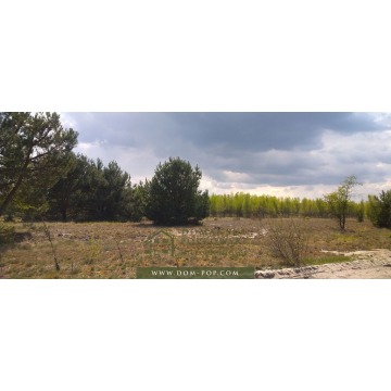 Działka budowlana Ostrybór sprzedam, pow. 3000 m2  (30a) - zdjęcie 7