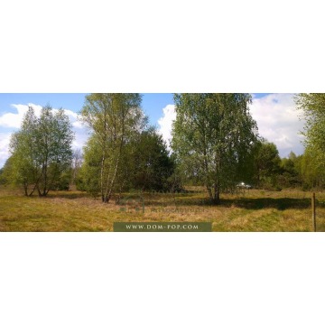 Działka budowlana Ostrybór sprzedam, pow. 3000 m2  (30a) - zdjęcie 8