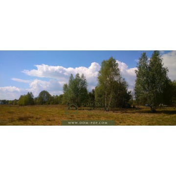 Działka budowlana Ostrybór sprzedam, pow. 3000 m2  (30a) - zdjęcie 2