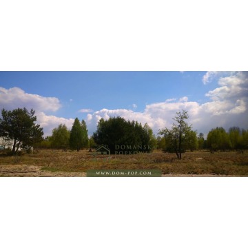 Działka budowlana Ostrybór sprzedam, pow. 3000 m2  (30a) - zdjęcie 6