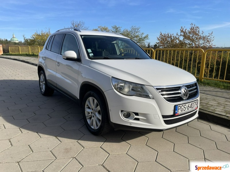 Volkswagen Tiguan  SUV 2010,  2.0 diesel, automat - Na sprzedaż za 33 999 zł - Gostyń